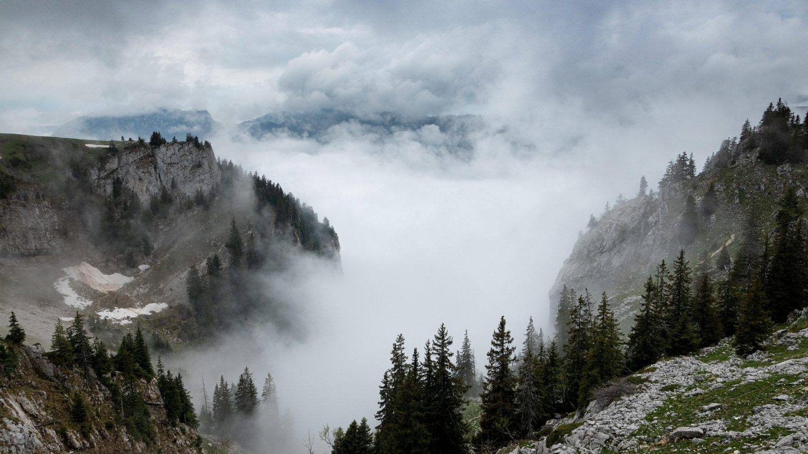 pg直营站体育竞技栏目配图